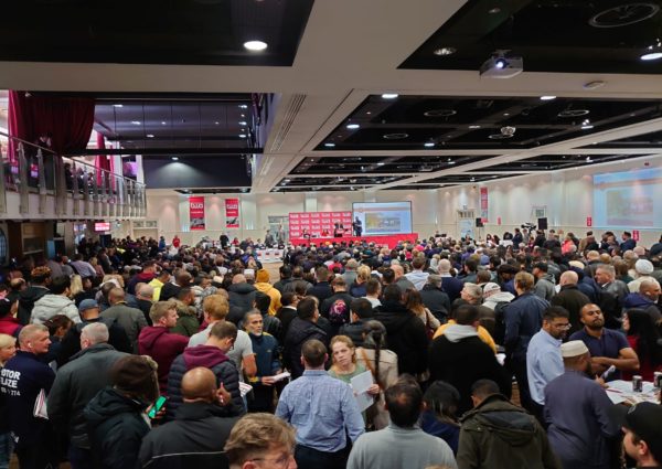 Record 215 lots in auction